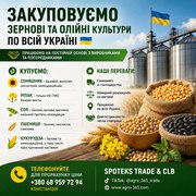 Закуповуємо с.г продукцію. База, некондиція